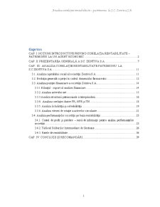 Analiza corelației rentabilitate-patrimoniu la SC Zentiva SA - Pagina 1