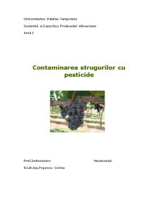 Contaminarea Strugurilor cu Pesticide - Pagina 1
