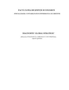 Diagnostic global strategic - analiza strategică a mediului concurențial - Pagina 1