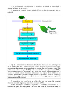 Perspectiva Abordărilor Moleculare în Cercetările Fundamentale și de Management al Insectelor - Pagina 4