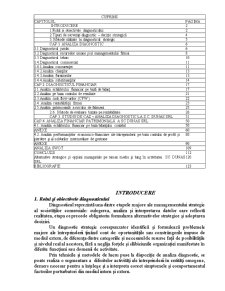 Analiza Diagnostic la SC Dunas SRL - Pagina 1