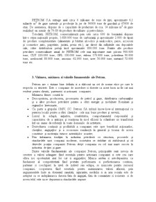 Formarea prețurilor și tarifelor pe piața din România - Petrom - Pagina 4
