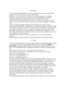 Monografia Comunei Lipia - Pagina 4