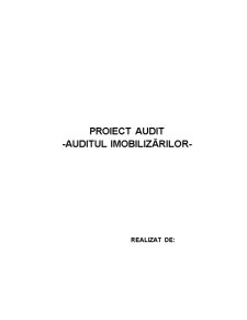 Proiect audit - auditul imobilizărilor - Pagina 1