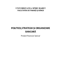 Strategii și Organizare Bancară - Pagina 1