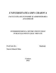 Interdependența dintre Instituțiile Publice și Instituțiile Private - Pagina 1