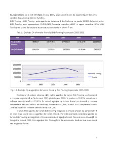 Analiză Comparativă a Performanțelor Realizate de Agențiile de Turism - Pagina 4
