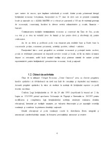 Organizare și Funcționalitate în Cadrul Colegiului Economic Octav Onicescu Botoșani - Pagina 2