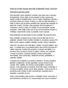 Proiect de cercetare bazat pe observație al cofetăriilor Georgi - Pagina 1
