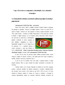 Internaționalizarea firmei SC Fares Bio Vital SA - Pagina 4