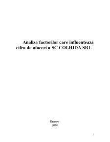 Analiza factorilor care influențează cifra de afaceri a SC Colhida SRL - Pagina 1