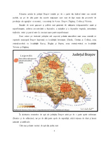 Probleme de Mediu în Județul Brașov - Pagina 4