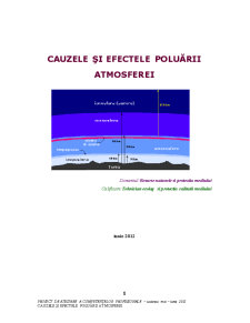 Cauzele și Efectele Poluării Atmosferei - Pagina 1