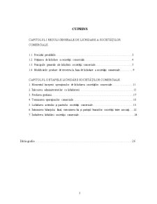 Evaluarea economică și financiară a afacerii - lichidarea societăților comerciale - Pagina 2