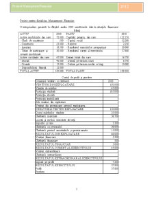 Management financiar - calcularea bilantului, CPP-ului și analiza financiară a unei firme - Pagina 2