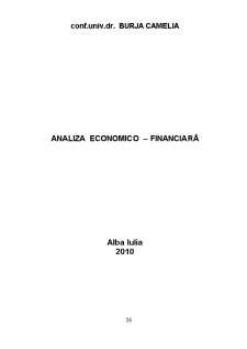 Analiza economico-financiară - Pagina 1