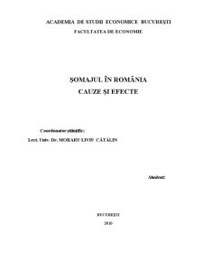 Șomajul în România - cauze și efecte - Pagina 1