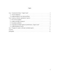 Analiza și Evaluarea Operațiunilor Logistice la Nivelul Firmei de Curierat Urgent Curier - Pagina 2