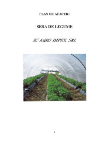 Plan de afaceri - seră de legume SC Agro Impex SRL - Pagina 1