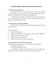 Plan de afaceri - seră de legume SC Agro Impex SRL - Pagina 3