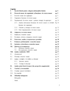 Analiza diagnostic a managementului resurselor umane la firma SC Maria Production SRL fabricare de mobilă - Pagina 3