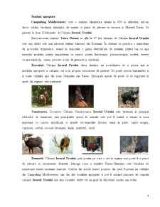 Economia turismului rural - Cabana Vânătorească Izvorul Ursului - Pagina 4