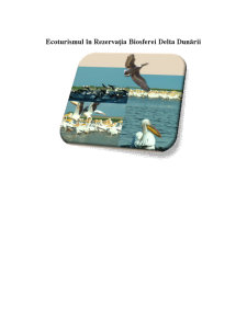 Ecoturismul în Rezervația Biosferei Delta Dunării - Pagina 1