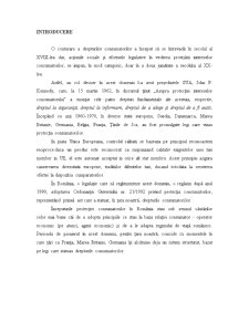 Raport de practică APC România - Pagina 3
