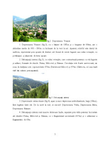 Repere ecoturistice în ținutul Vrancei. Parcul Natural Putna-vrancea - Pagina 5
