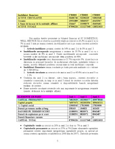 Analiza performanțelor economico-financiare ale firmei - Pagina 5