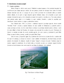 Eutrofizarea în Marea Neagră - Pagina 4