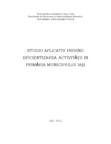 Studiu Aplicativ privind Eficientizarea Activității în Primăria Municipiului Iași - Pagina 1