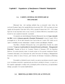 Studiu Aplicativ privind Eficientizarea Activității în Primăria Municipiului Iași - Pagina 3