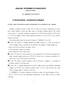 Analiza economico-financiară - SC Bermas SA Suceava - Pagina 1