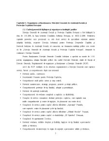 Studiu Aplicativ privind Eficientizarea Activității Direcției Generale de Asistență Socială și Protecția Copilului Botoșani - Pagina 3