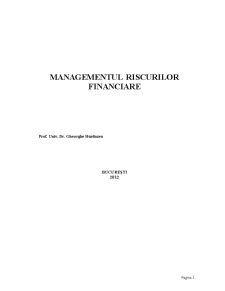 Managementul Riscurilor Financiare - Pagina 1