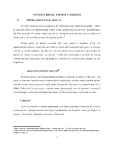 Dreptul Comercial - Aspecte Generale - Pagina 4