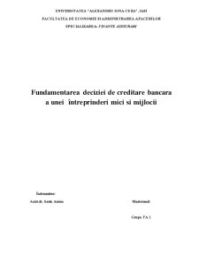 Fundamentarea deciziei de creditare bancară a unei întreprinderi mici și mijlocii - Moldomec - Pagina 1