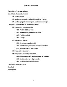 Managementul performanței - SC Automobile Dacia SA - Pagina 2