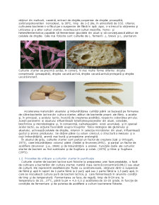 Tehnologia de Preparare a Pâinii cu Culturi Starter de Bacterii - Pagina 2