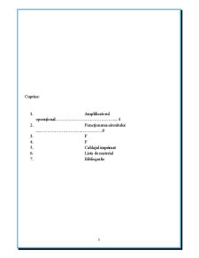 Proiectarea unui Generator de Semnal Rectangular - Pagina 3