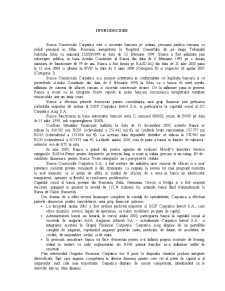 Studiu de Caz - Banca Comerciala Carpatica - Pagina 1