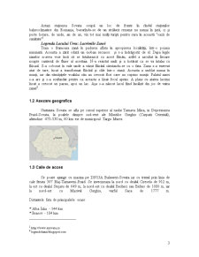 Valorificarea potențialului turistic al stațiunii Sovata - Pagina 3