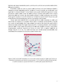 Ecologie și filogenie moleculară - Pagina 3