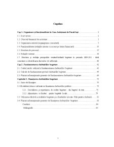 Fundamentarea și finanțarea cheltuielilor publice în cadrul Casei Județene de Pensii Iași - Pagina 1