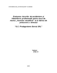 Evaluarea riscurilor de accidentare și îmbolnăvire profesională la SC Prodagrolemn Borviz SRL - Pagina 1
