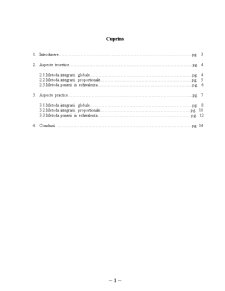 Metodele contabilității consolidate - Pagina 1