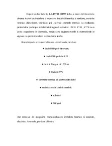 Studiu de fezabilitate - SC Inter Conti SRL - Pagina 4