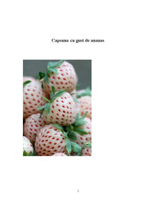 Studiu de fezabiltate - căpșuna cu gust de ananas - Pagina 3