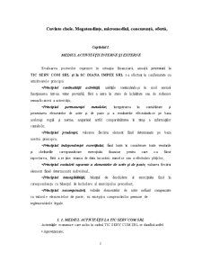 Strategia de piață la SC Chimcomplex SA Borzești - Pagina 3
